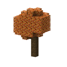 Maple Tree Maple Tree